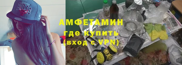 хмурый Алексин