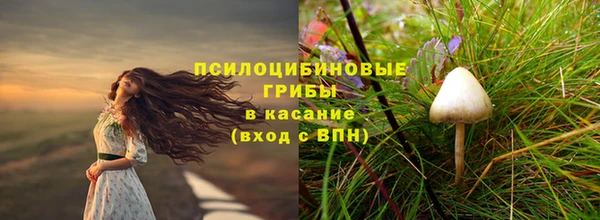 хмурый Алексин