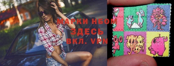 хмурый Алексин